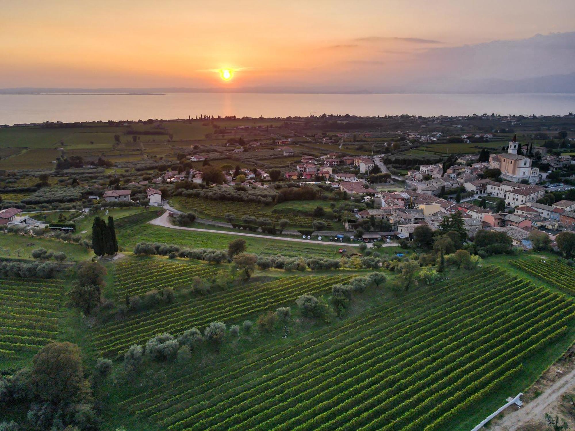 Villa Calicantus Bardolino Luaran gambar